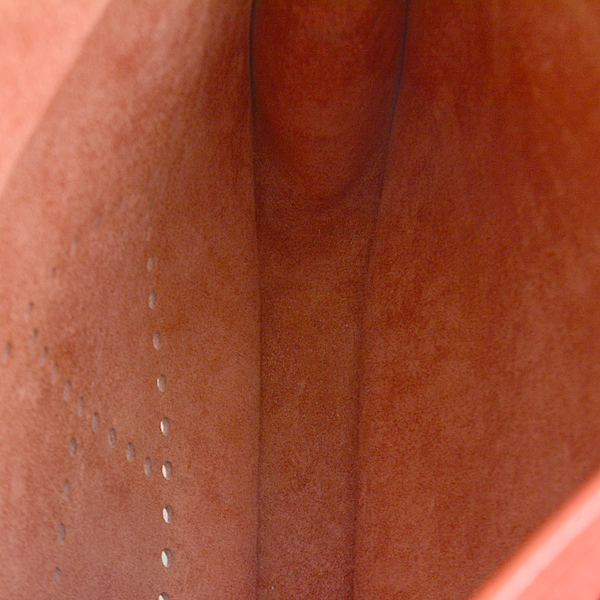 エルメス バッグ レディース メンズ エブリン2 PM ショルダーバッグ □H刻 トリヨン レッド HERMES 中古