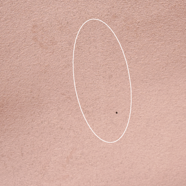 サルヴァトーレ フェラガモ バッグ レディース ガンチーニ ハンドバッグ トートバッグ カーフ ピンク AU-21 0914 Salvatore Ferragamo 中古