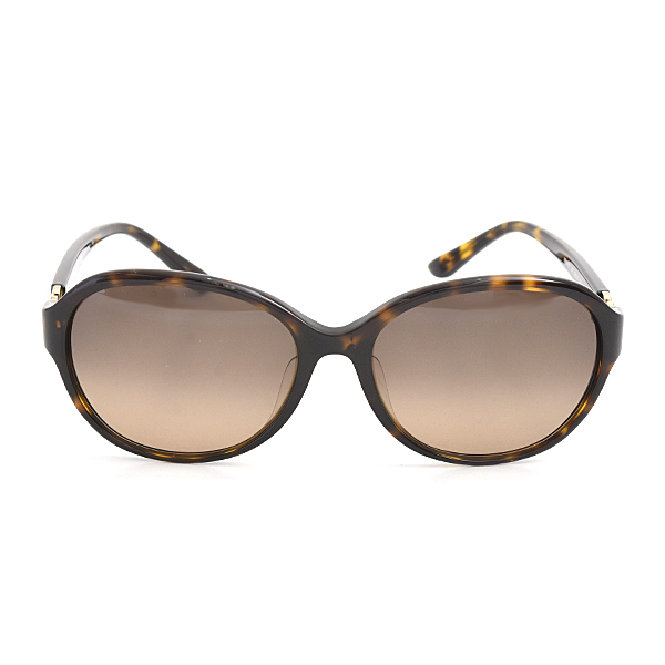 フェラガモ サングラス レディース ブラウングラデーションカラーレンズ オーバル セルフレーム Ferragamo SF804SA CE 中古