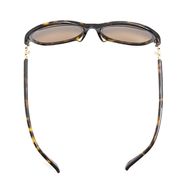 フェラガモ サングラス レディース ブラウングラデーションカラーレンズ オーバル セルフレーム Ferragamo SF804SA CE 中古