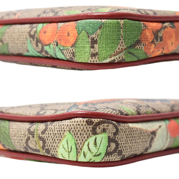 グッチ バッグ レディース ティアン チェーンハンドバッグ GGスプリーム 花 鳥 蝶 ベージュ×マルチ GUCCI 中古