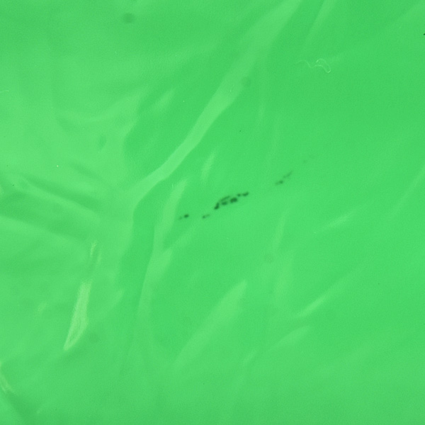 ボッテガヴェネタ バッグ メンズ クラッチ セカンドバッグ エナメル シワ加工 パテント グリーン BOTTEGA VENETA 中古