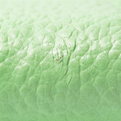 ルイヴィトン 財布 レディース アンプラント ポルトモネ ロザリ 日本先行 コインケース ライトグリーン Louis Vuitton M81922 未使用展示品